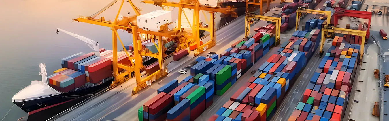 Fast Global Logistics in 5–10 Days